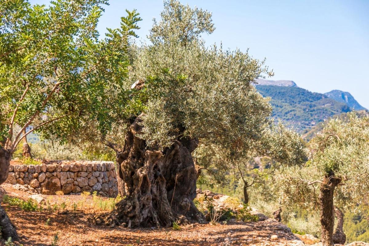 Finca Rural Es Pujol โซเยร์ ภายนอก รูปภาพ